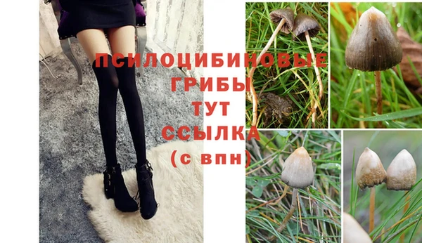 индика Абинск