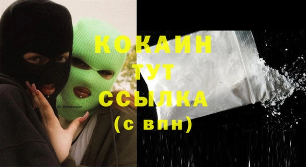 индика Абинск