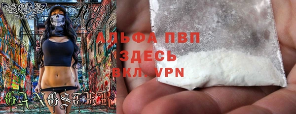 индика Абинск