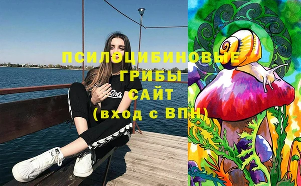 соль курить ск Абаза
