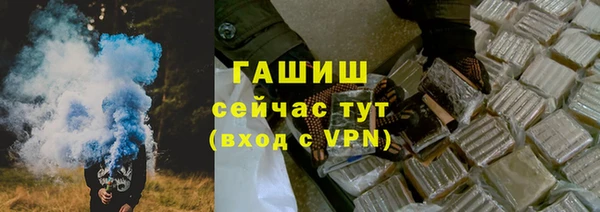 индика Абинск